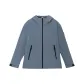 Blue Gray