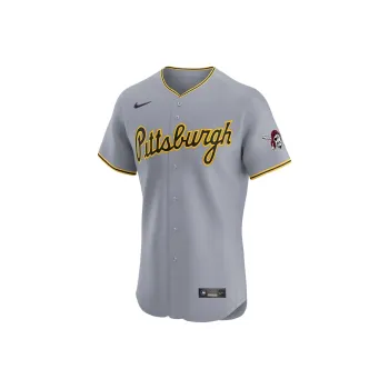Nike Pittsburgh Pirates Men's Nike Dri FIT Adv Mlb Elite Jersey