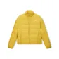 Ginger Yellow