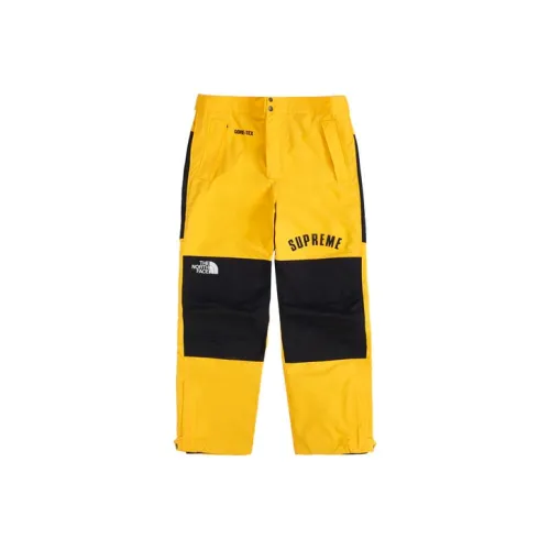 Supreme The North Face Arc Logo Mountain Pant