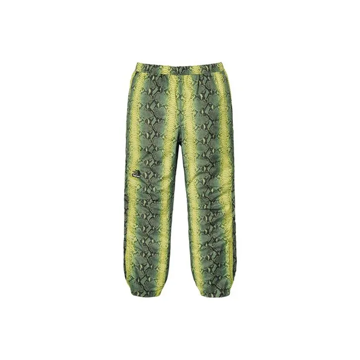 Supreme The North Face Snakeskin Taped Seam Pant-0