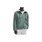 Arctic Green/ATGN