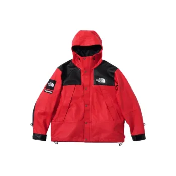 Supreme The North Face Leather Mountain Parka