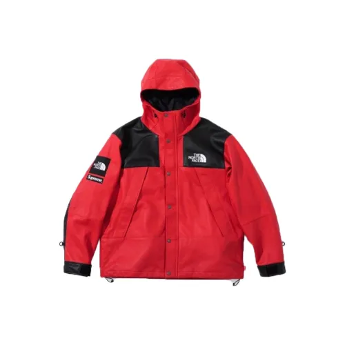Supreme The North Face Leather Mountain Parka