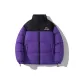 Purple (Stand Collar)