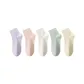 5 Pack (Combo 3) Purple+Pink+Beige+Green+Yellow