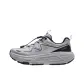 Buckwheat Gray/Silver