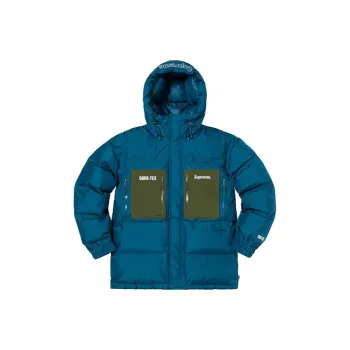 Supreme GORE TEX 700 Fill Down Parka FW19