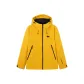 Ginger Yellow 01