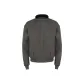 Wolf Gray