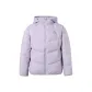 Silver Gray Purple