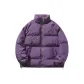 Purple (Comes with A Random Sweatshirt)