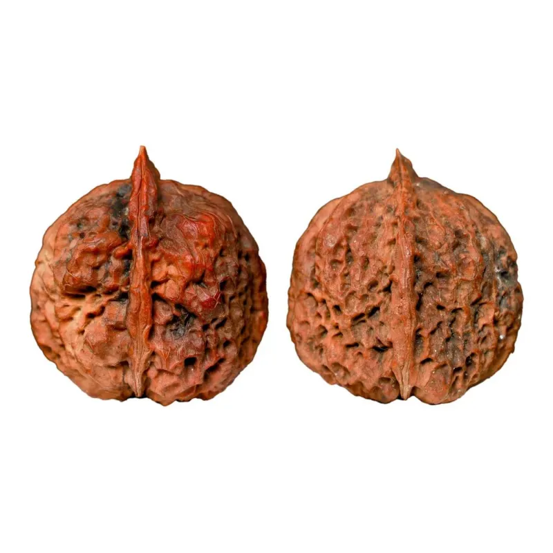 Xihe Core Creation Walnut Fine Handicraft Walnut Collectible Unisex-4