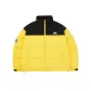 Ginger Yellow
