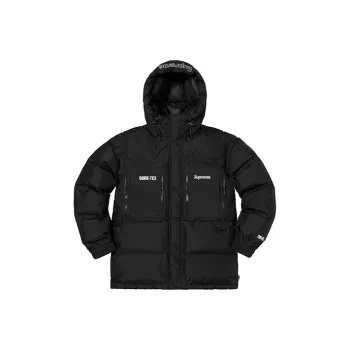Supreme GORE TEX 700 Fill Down Parka FW19