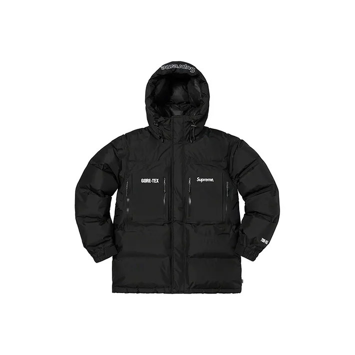 Supreme GORE TEX 700 Fill Down Parka FW19-0