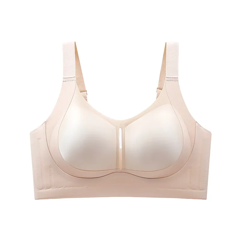 David Women's Bras-15