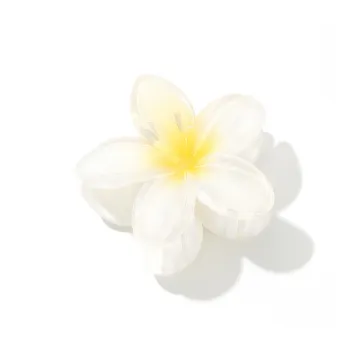 Like A Dream Acrylic Hair Clips Women's