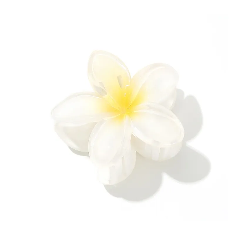 Like A Dream Acrylic Hair Clips Women's-0