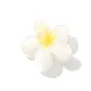 Gradient White