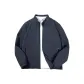Blue Gray 31