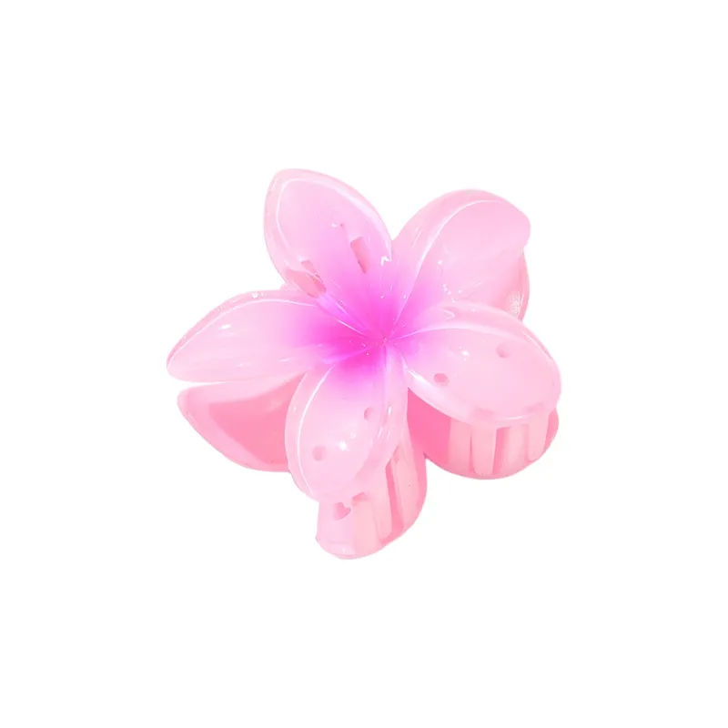Like A Dream Acrylic Hair Clips Women's-6