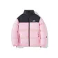 Pink Stand Collar (69918)