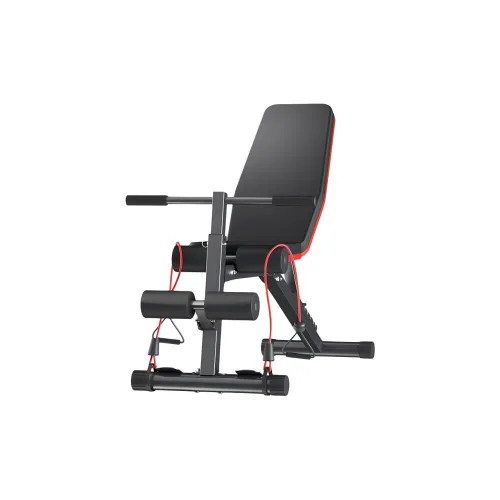 Ph.D. Research Dumbbell Benches Unisex