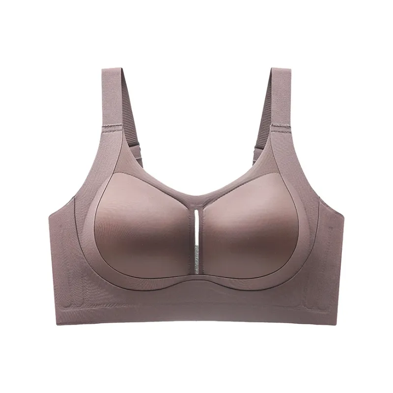 David Women's Bras-5