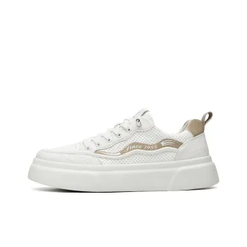 AOKANG Dunk Series Anti Slip Wear Resistant Low Top Skateboard Shoes Men's