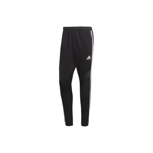 Adidas Tiro 19 Training Pants
