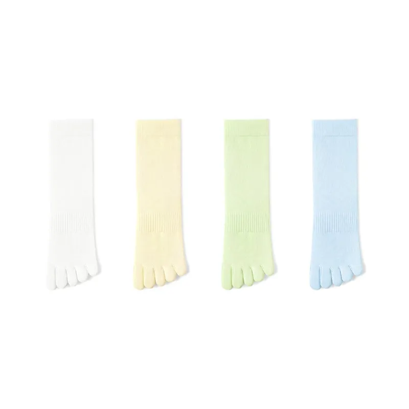 B&C.Room Mid Calf Socks Women's 4 Pack-2