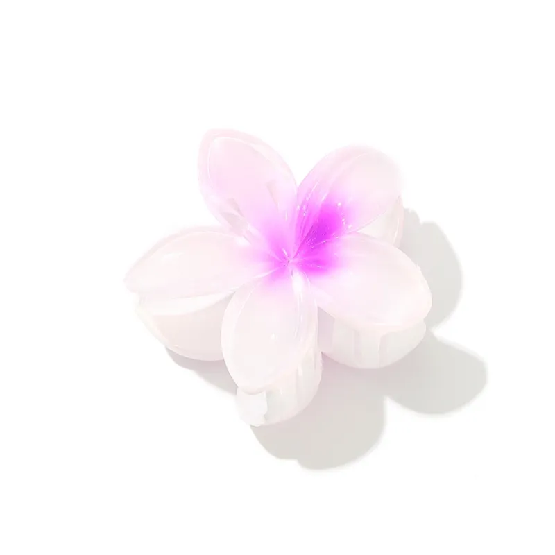 Like A Dream Acrylic Hair Clips Women's-9