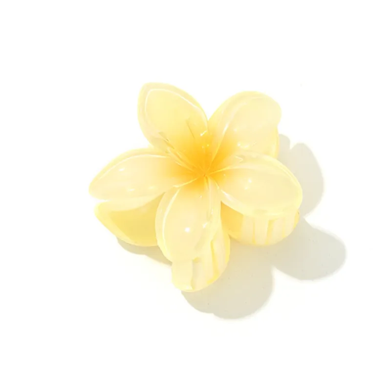 Like A Dream Acrylic Hair Clips Women's-3