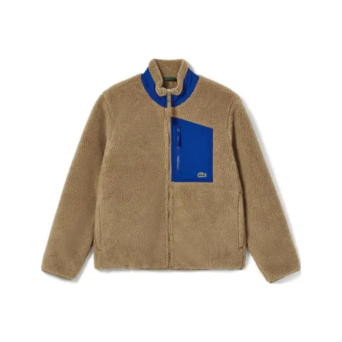 LACOSTE Jackets Coats Men's Camel
