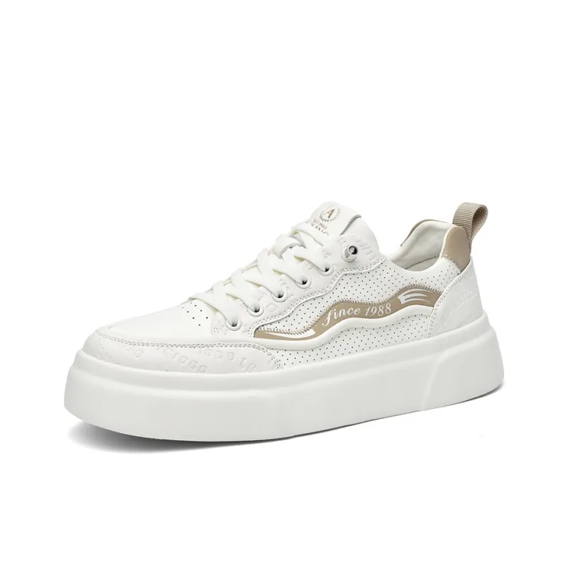 AOKANG Dunk Series Anti Slip Wear Resistant Low Top Skateboard Shoes Men's-1