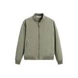 Light Khaki