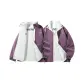 Purple (6029)