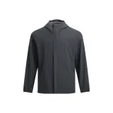 Rhinoceros Gray