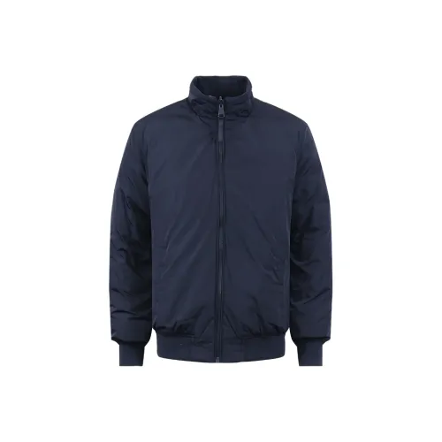 CALVIN KLEIN Puffer Jacket Men's