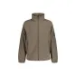 261 Brown