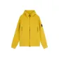 Mustard Yellow