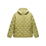 Ginger Yellow Green