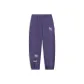 Grape Gray Purple