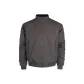 Wolf Gray