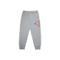 Medium Feather Gray