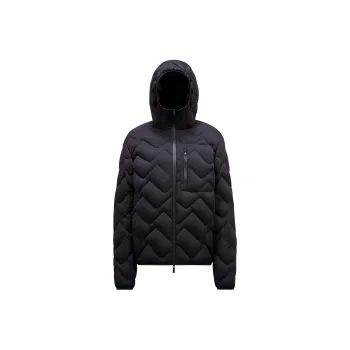 Moncler Steliere Down feather Jacket