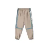 Silver Mink Brown