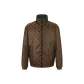 Brown with Print