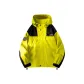 Neon Yellow